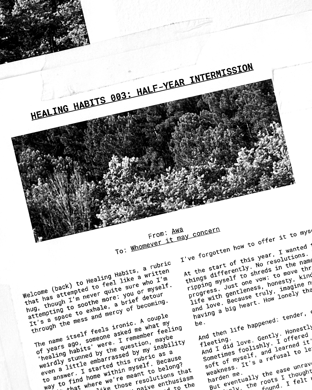 Healing Habits 003: Half-Year Intermission