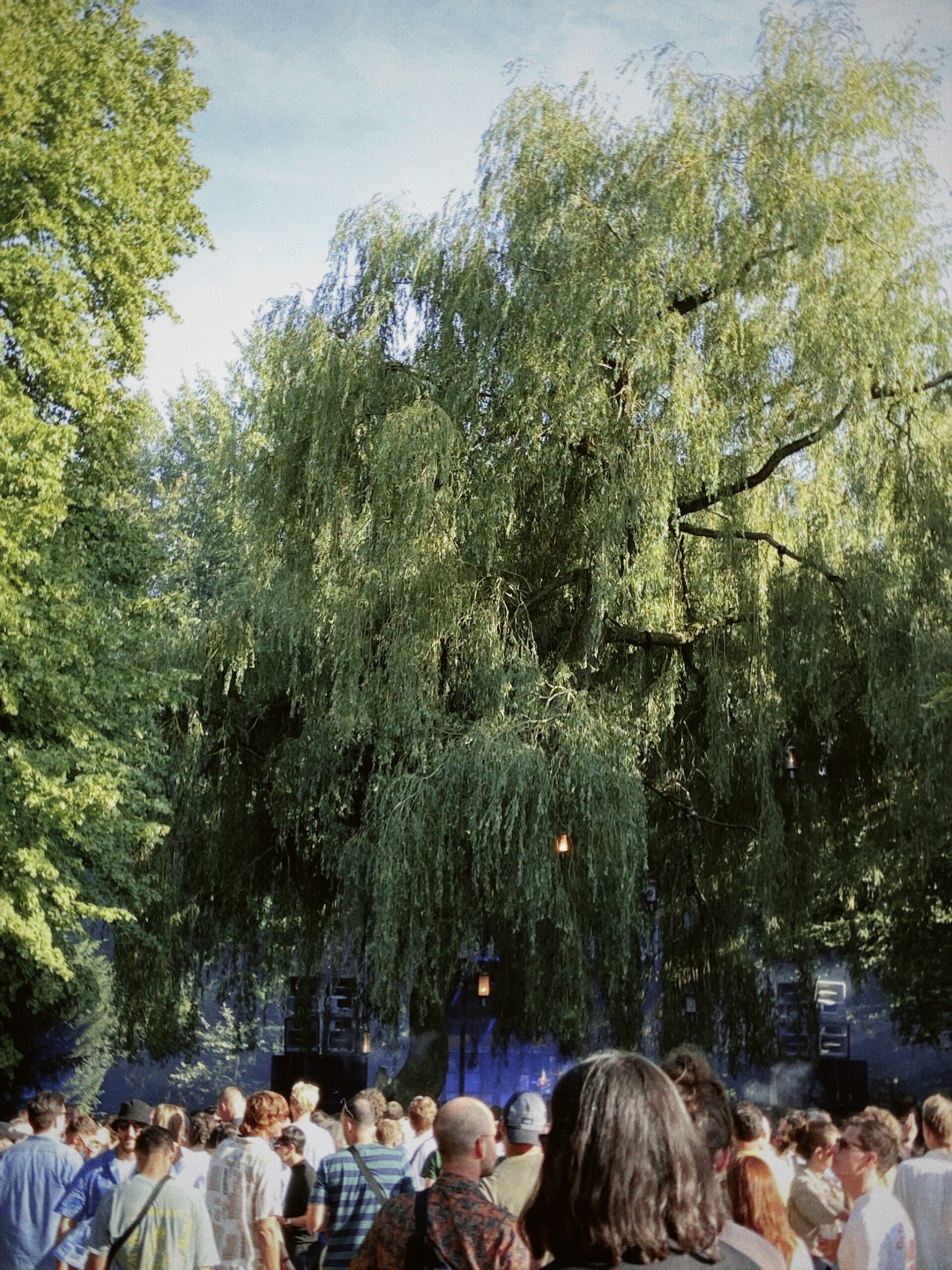 A(a) Take on Dekmantel 2025
