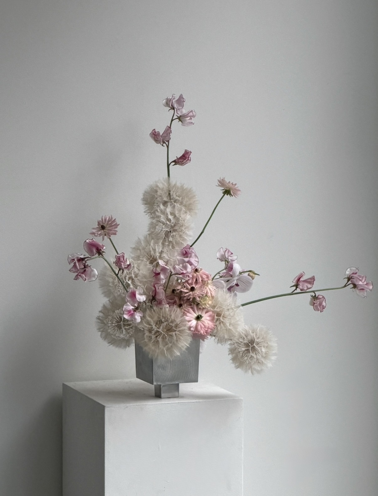 Ariella Hill on making peace with impermanence